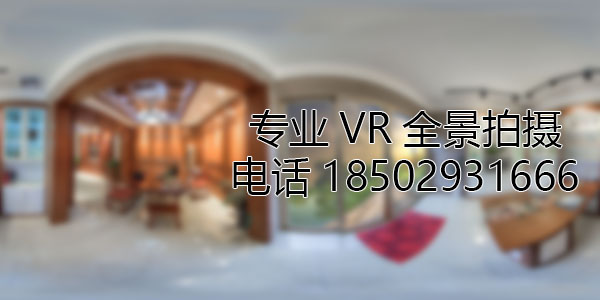 大厂VR全景技术在未来可能的发展方向和应用领域?